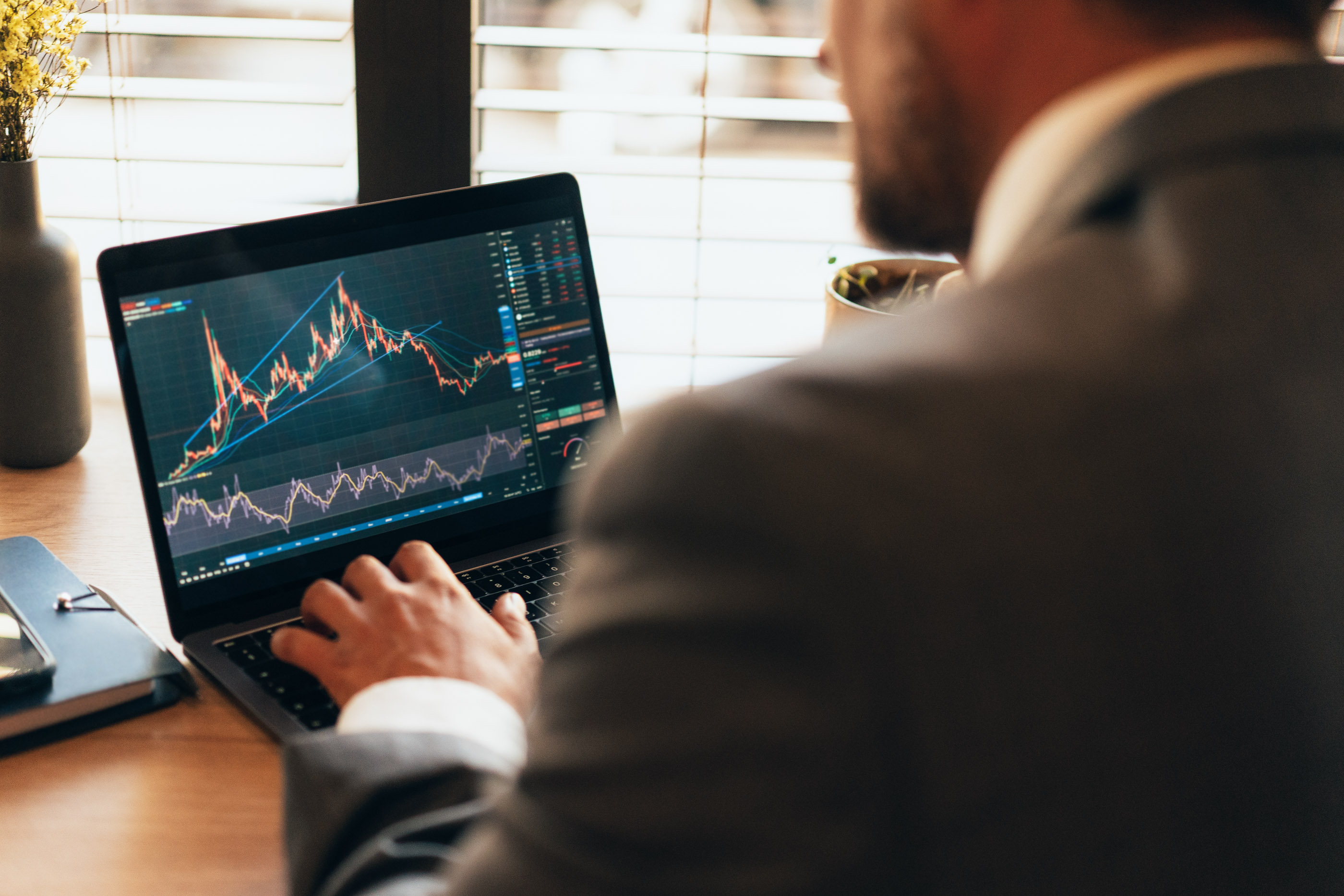 Reviewing tax projections and financial charts on a laptop